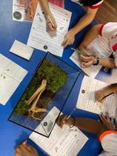 Load image into Gallery viewer, Physical Tour