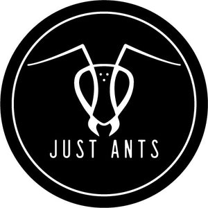 Just Ants