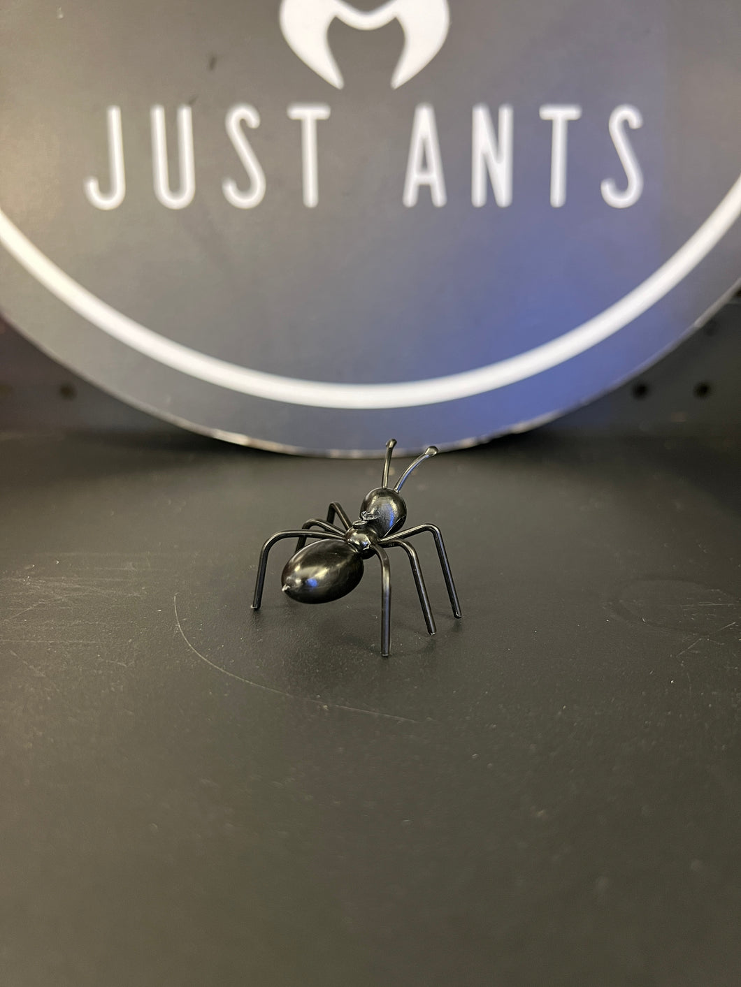 Toy Ant