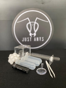 Ant Starter Kit