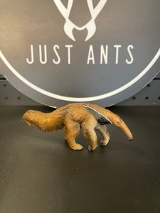 Ant Eater Toy