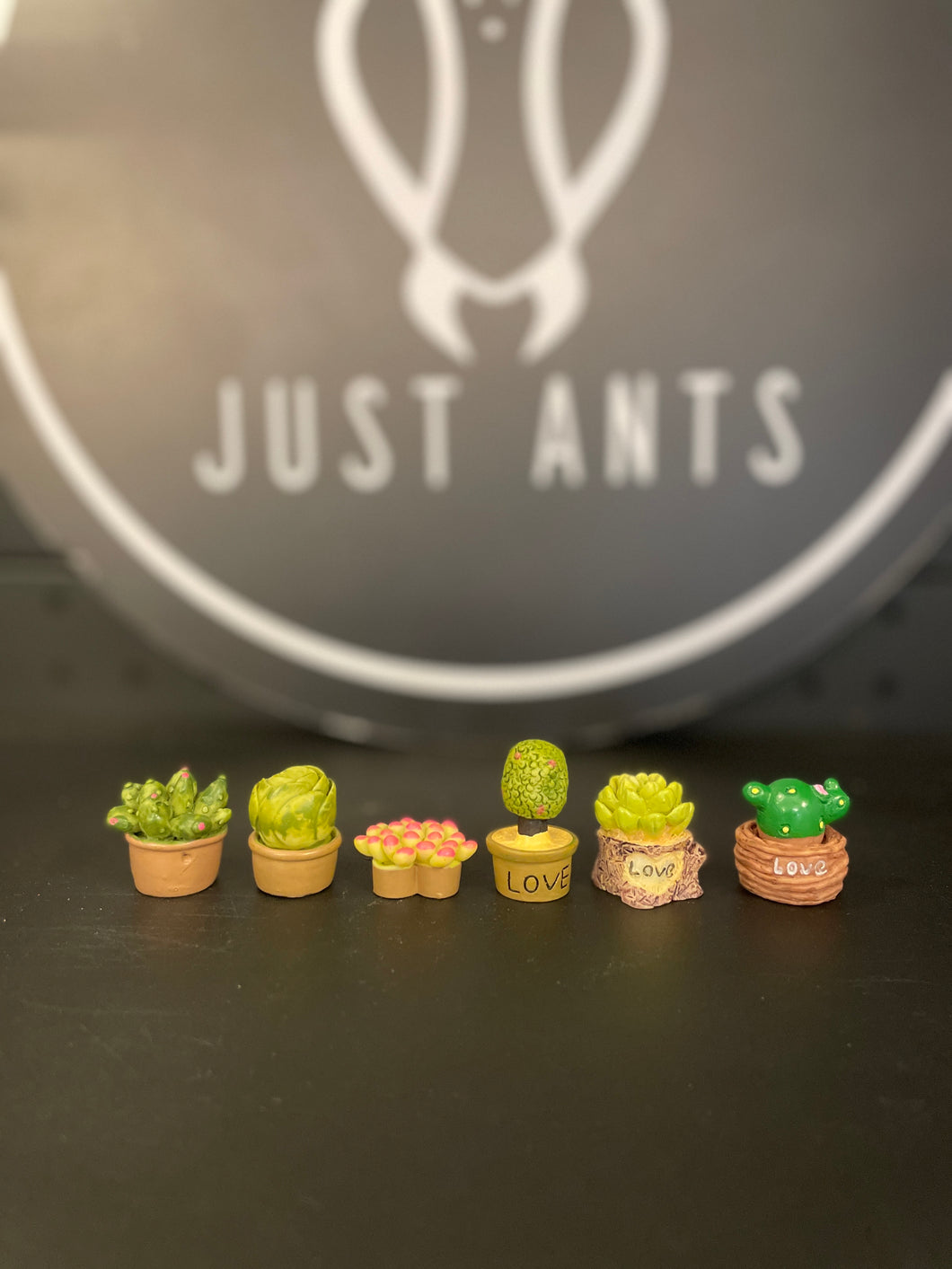 Toy Potted Plants ( 6 Piece Set)